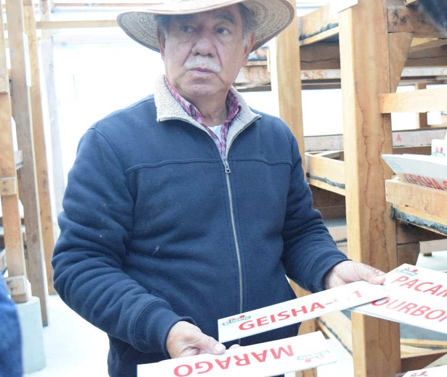 【 NEW RELEASE / グアテマラのスペシャルティコーヒー界の巨匠 】