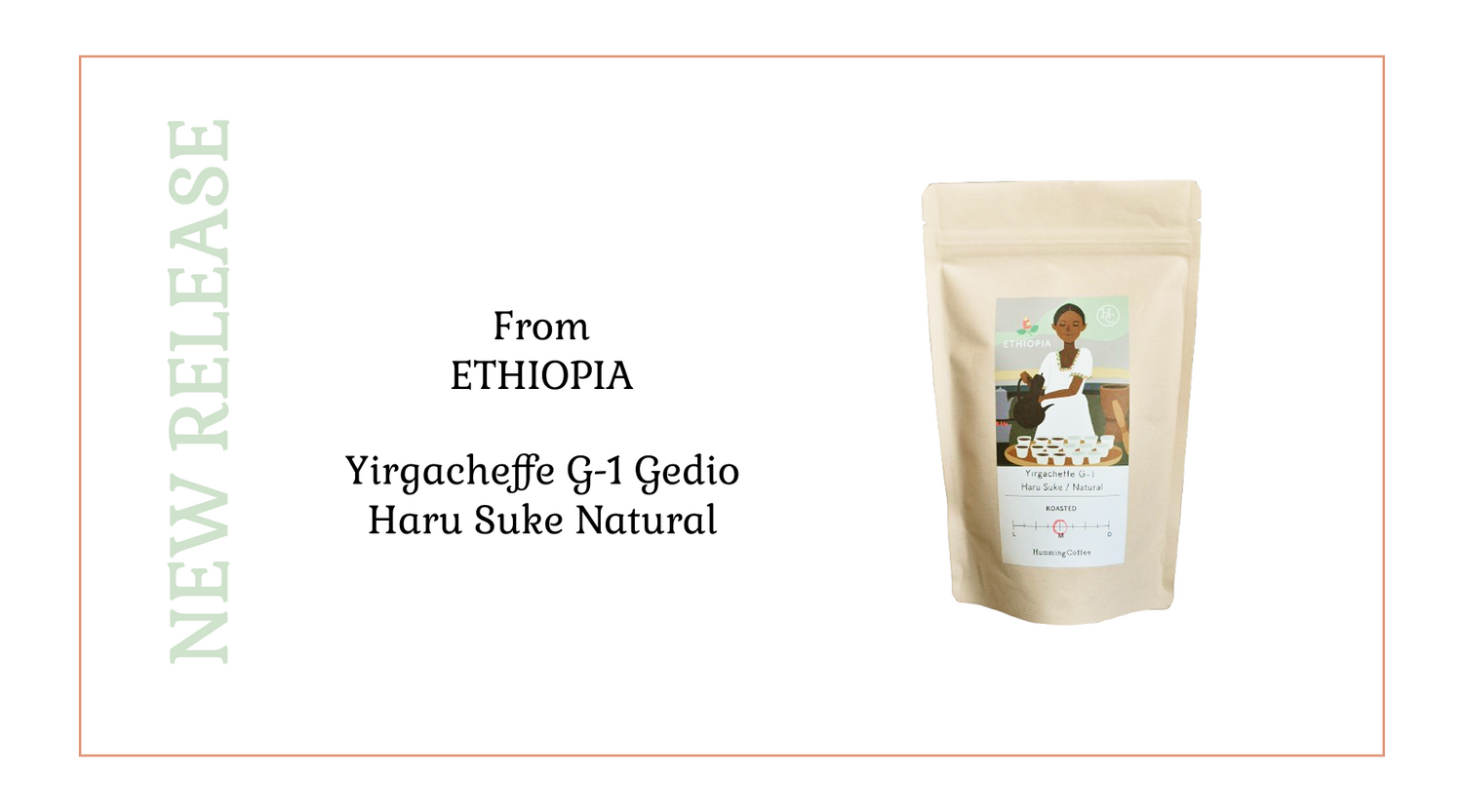 NEW REALEASE エチオピア イルガチェフェG-1 ハル・スケ ナチュラル