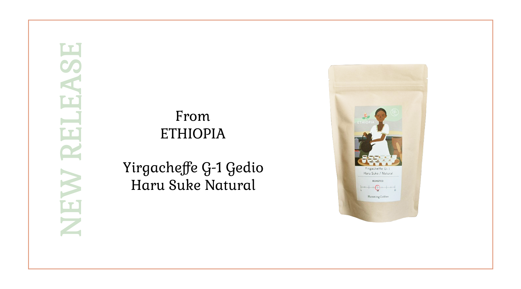 NEW REALEASE エチオピア イルガチェフェG-1 ハル・スケ ナチュラル