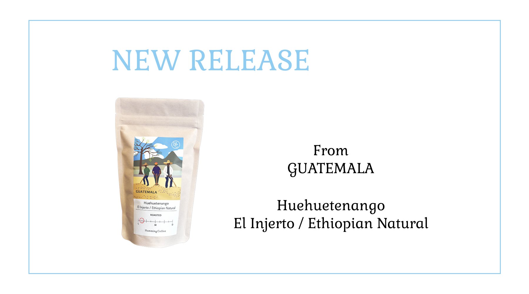 4/9 NEW RELEASE グアテマラ エル・インヘルト農園 エチオピアンナチュラル