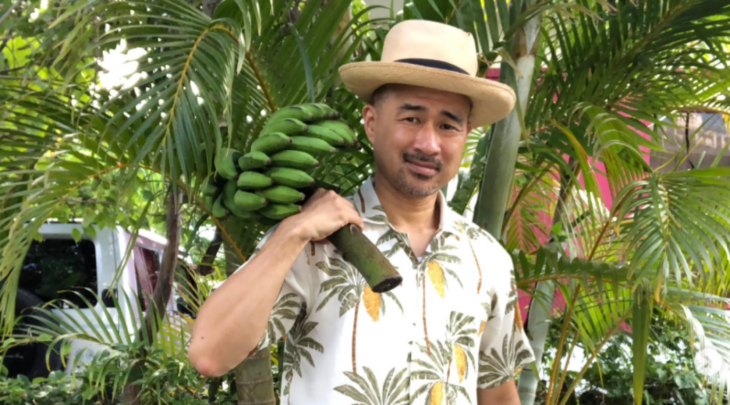 いただいた応援コメントをご紹介します④