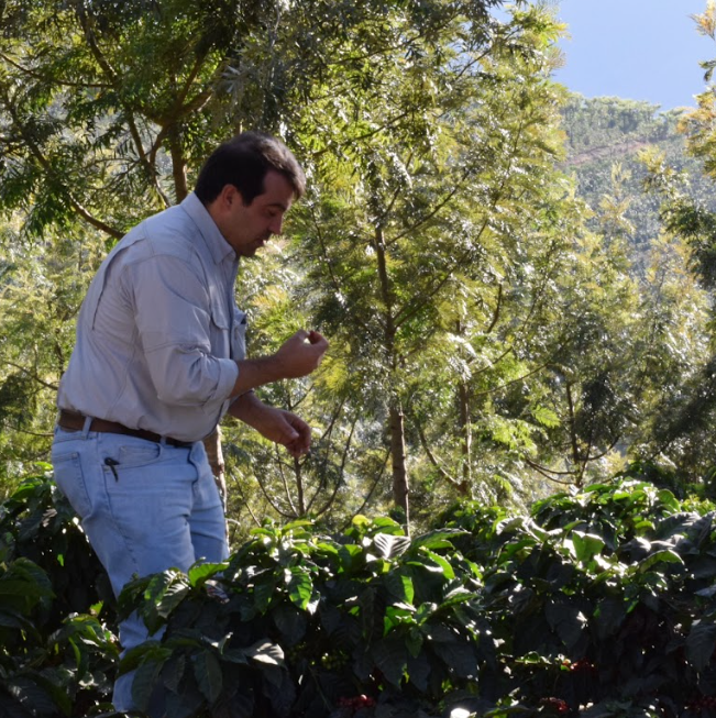 グアテマラ ブエナビスタ農園 ブルボン100% ウォッシュド