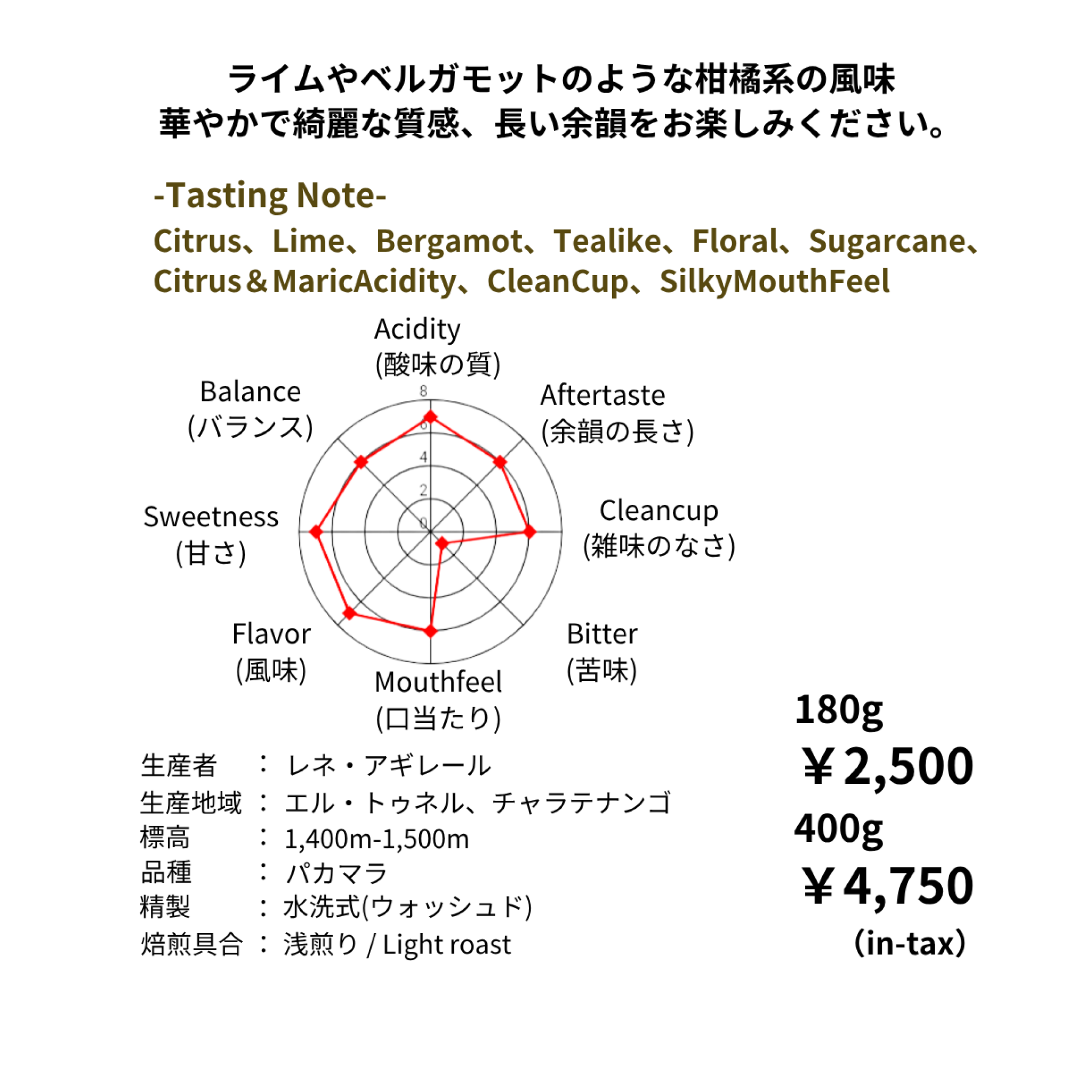 3/28 NEW RELEASE エルサルバドル フィンカ・ラス・ベンタナス農園