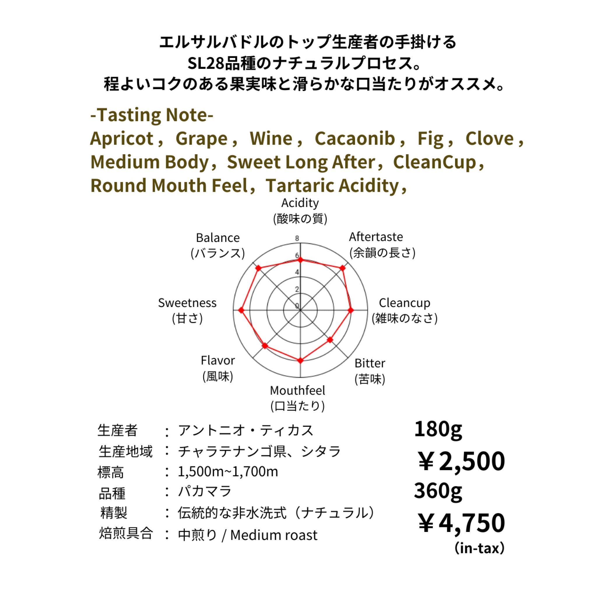 11/28 NEW RELEASE エルサルバドル ラ・グーナ農園 パカマラ ナチュラル