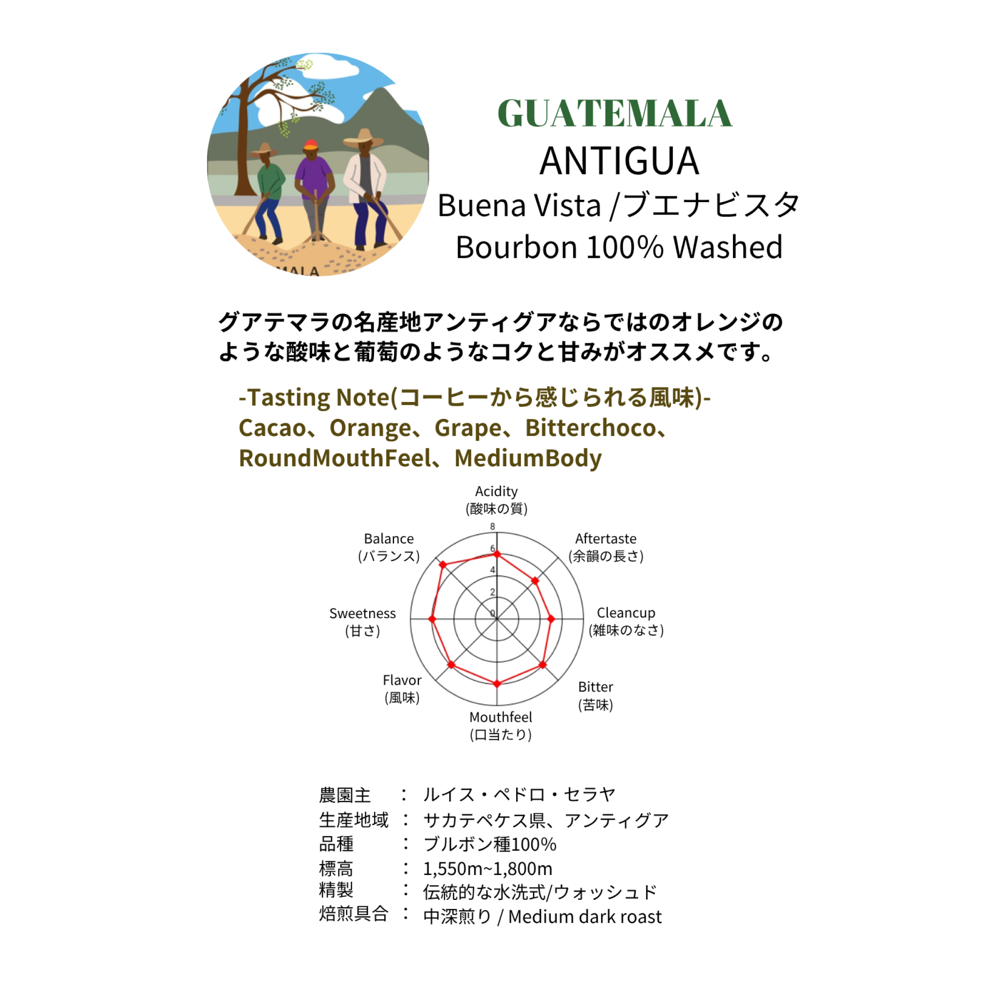 お中元ギフト【 売れ筋コーヒーセット 】