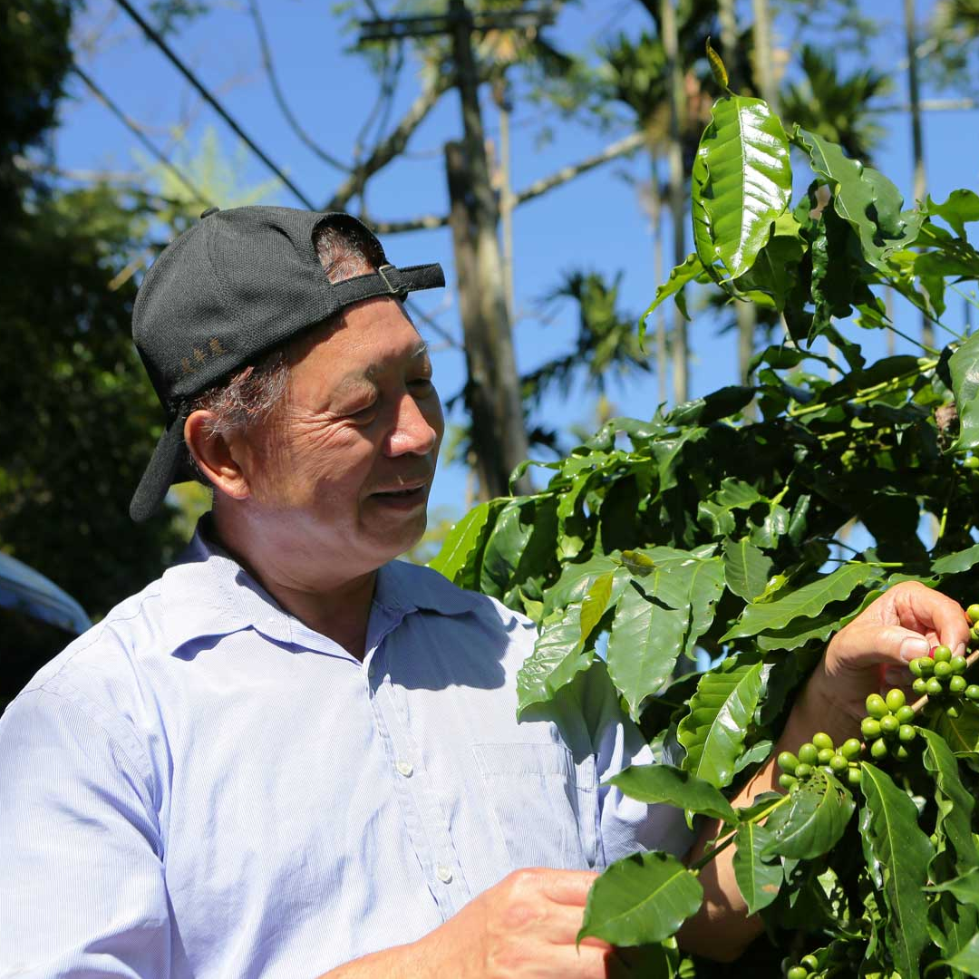 9/25 NEW RELEASE TAIWAN TOP OF TOP QUALITY CUP OF EXCELLENCE 2024 NATIONAL WINNER 鼎豐珈琲莊園 Ding-Feng Estatecafe Geisha Washed