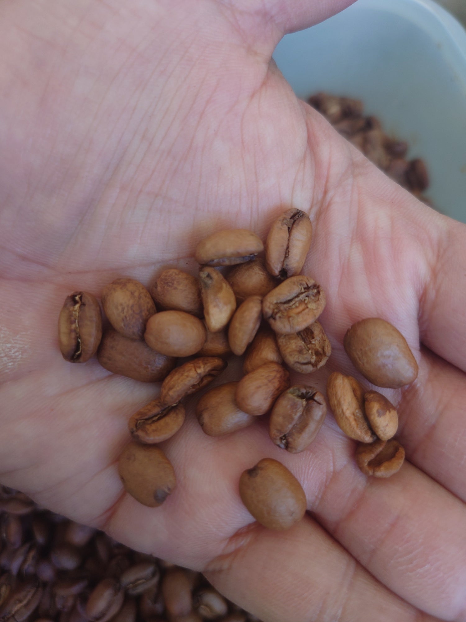 BLOG【 最後の仕上げ 】 - Humming Coffee