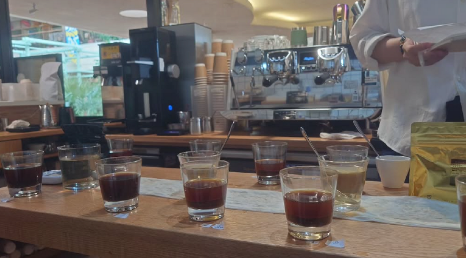 【 Cupping Training 】