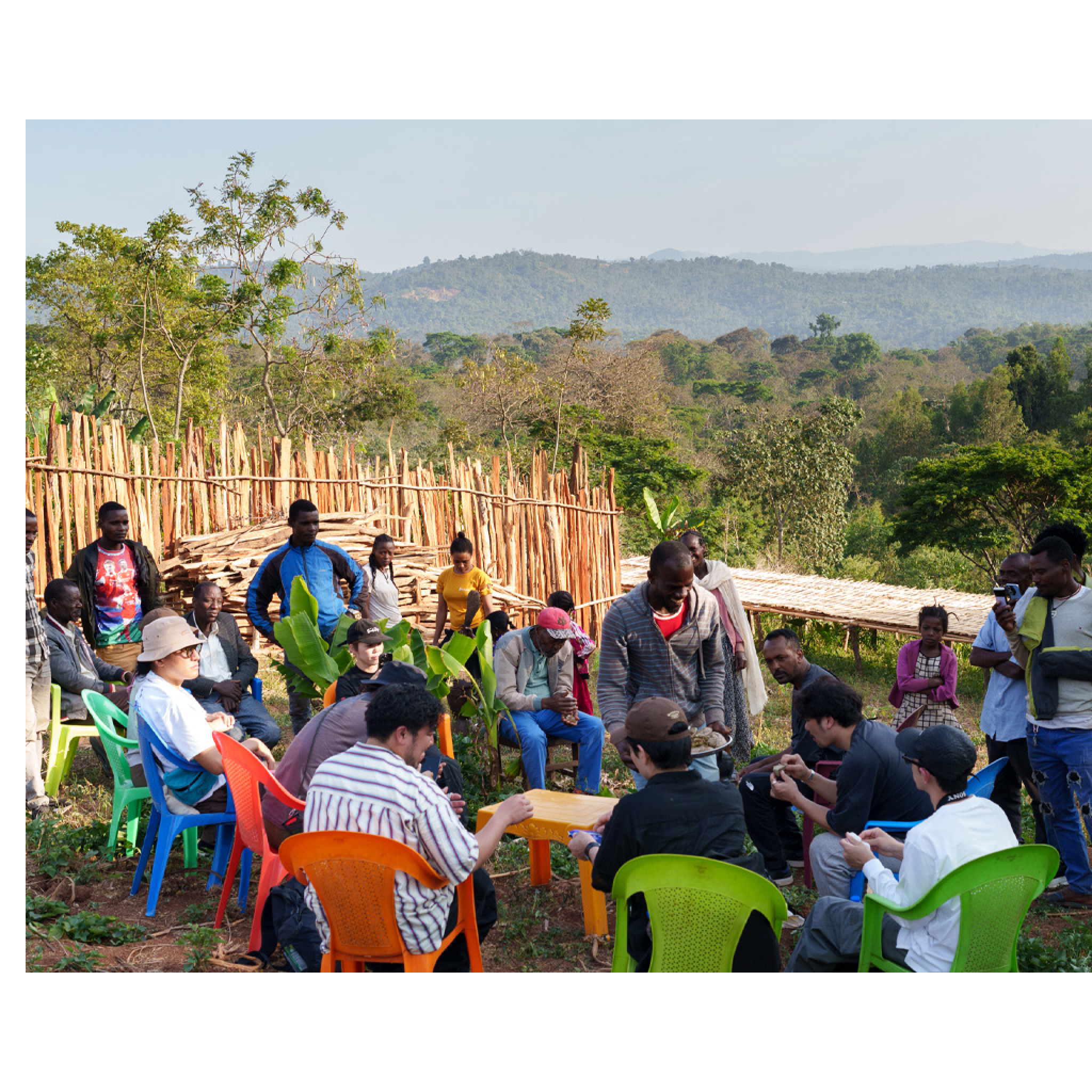 エチオピア　イルガチェフェG-1　ハル・スケ ナチュラル