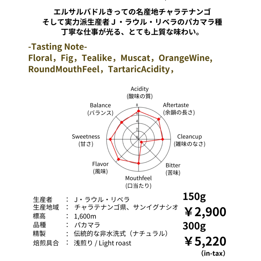 9/28 NEW RELEASE エルサルバドル　サンタ・ロサ農園　パカマラナチュラル