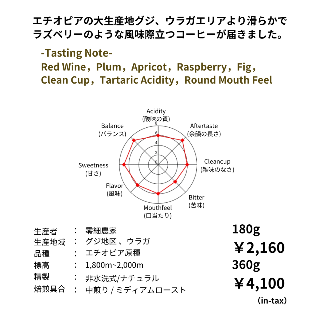 6/14 NEW RELEASE エチオピア　タベ・ブルカ　ナチュラル